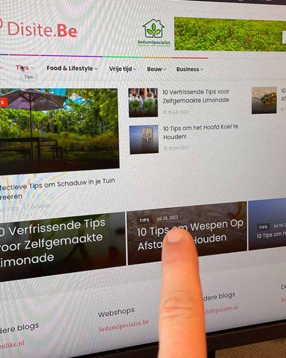 Disite content website met weetjes